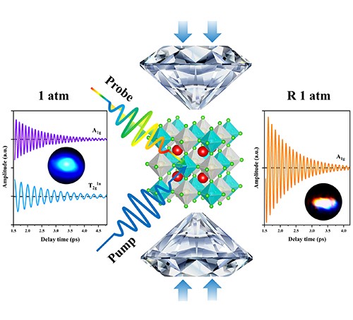 Lead-Free Perovskite Light-Emitting Diodes: Research Progress and Future Prospects